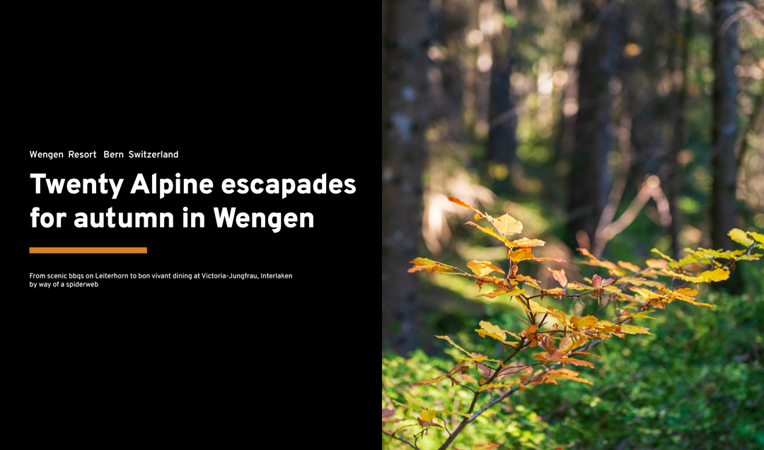 Alpine-escapades-Wengen