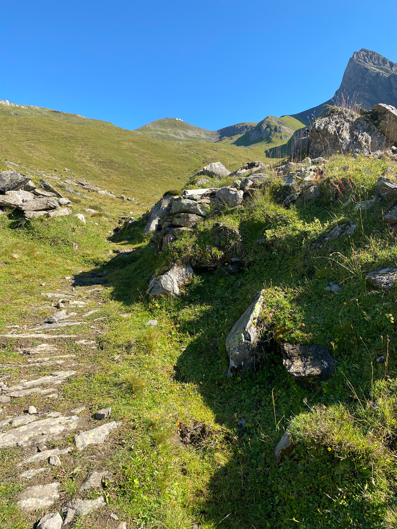 Faulhorn-Trail-Alpine