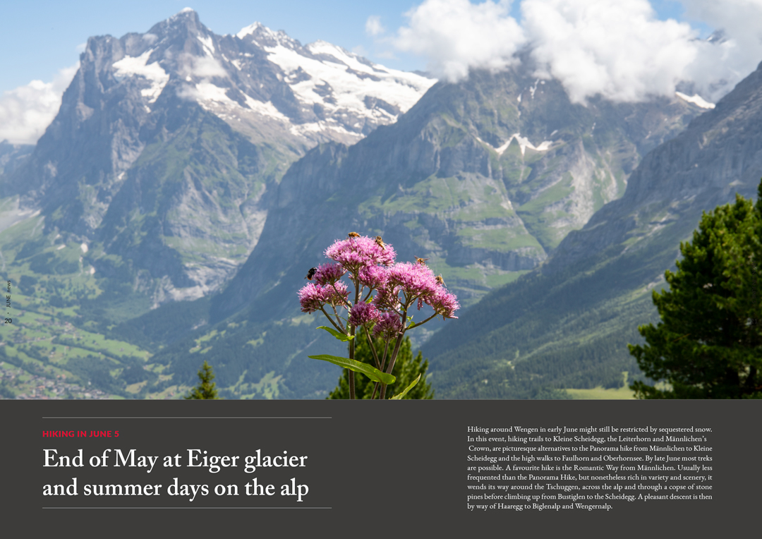 Summer-Days-Jungfrau-Region